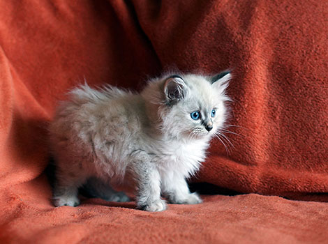Khiara am 20. September 2021